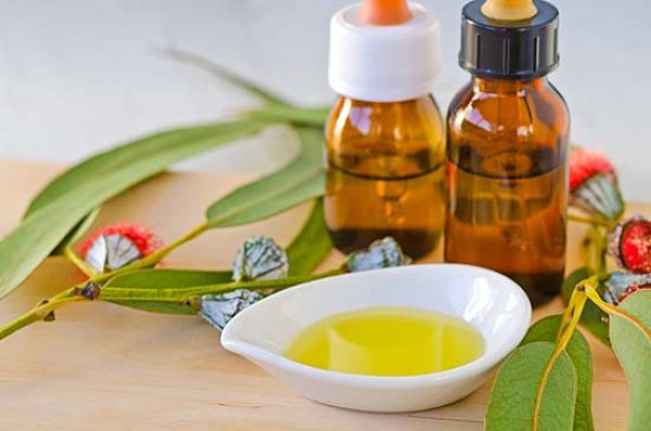 ➤ 10 razones por las que tu hogar necesita aceite esencial de eucalipto